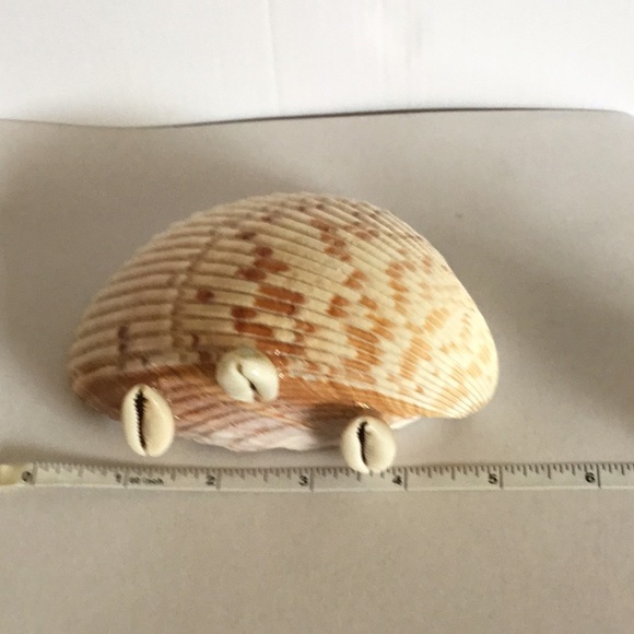 NWOB Seashell Native set - Picture 6 of 9